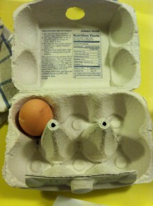 You will never see a carton with just one egg on our counter anymore.