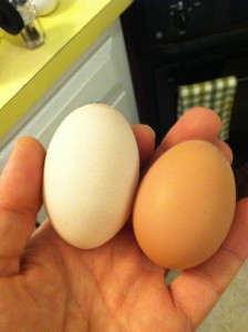 pale, long egg