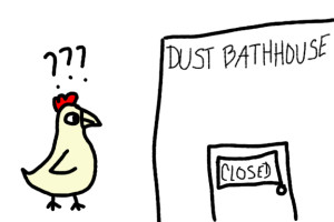 dust bathhouse closed