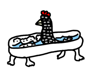 chicken bath