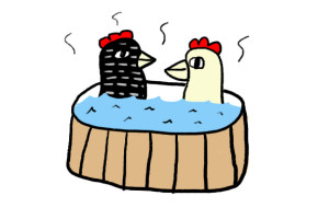 chicken hot tub
