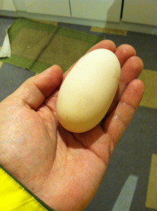 big egg
