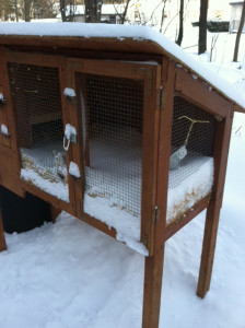 snow hutch