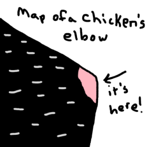 chicken elbow