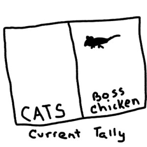 cat vs. chicken