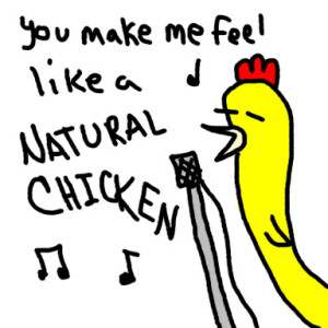 singing chicken