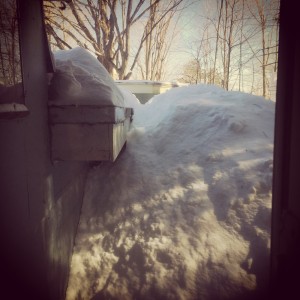 roof snow