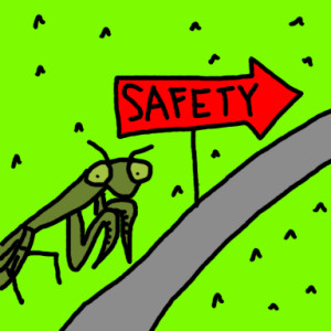 mantis safety