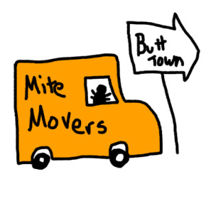 moving mites