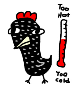 weatherchicken