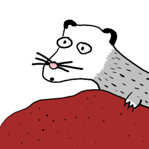 opossum